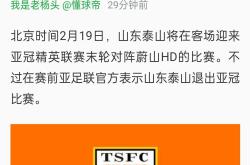 泰山遭遇争议红牌，那不勒斯乘势反超比分完成逆转的简单介绍